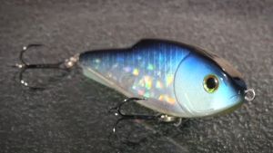 VIDEO: How to use – Storm ThunderSlide Shad